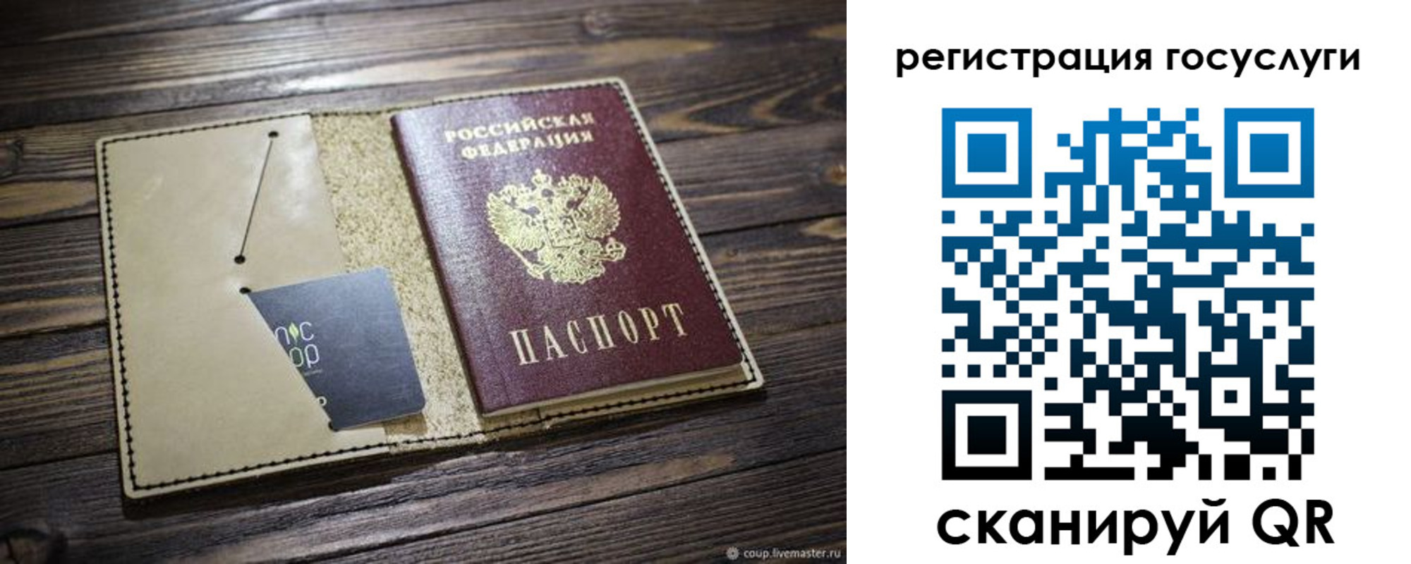 прописка от собственника в Светлогорске