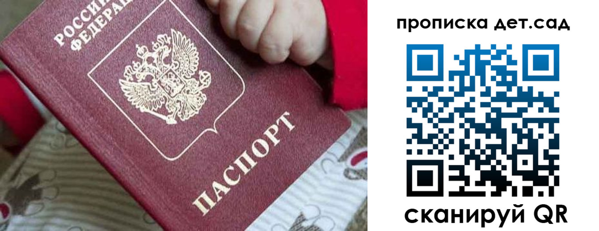 где прописаться в Светлогорске