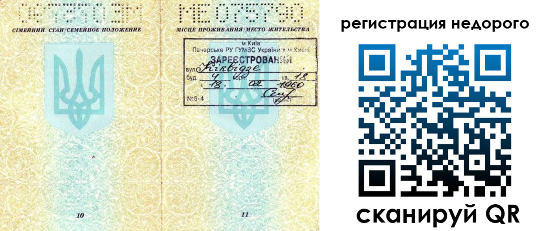 прописка 2025 в Светлогорске